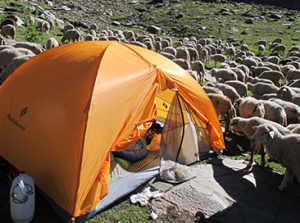 Himalayan trekking expedition