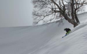 Ski Himalayas
